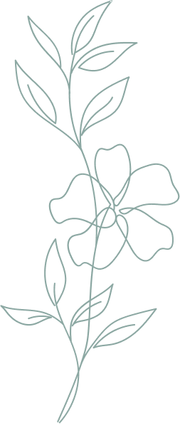 img_07-1.png